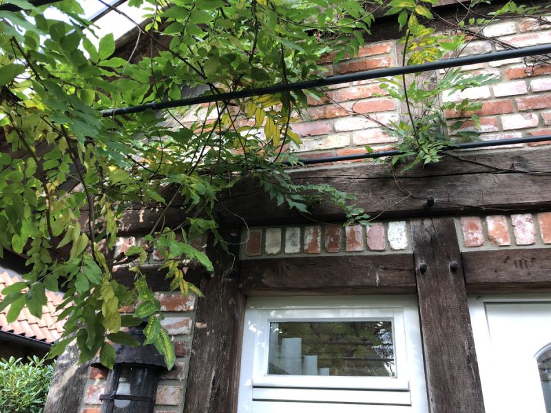 Gartenhäuschen Detailansicht mit Fenster